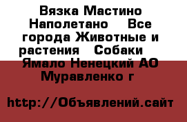 Вязка Мастино Наполетано  - Все города Животные и растения » Собаки   . Ямало-Ненецкий АО,Муравленко г.